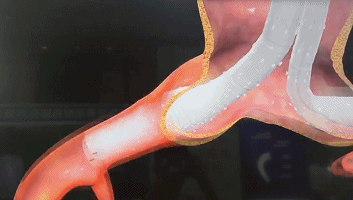 1568637488806567.gif 7706630_057022.gif