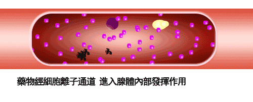 1568704355799037.gif @$%S6[{@T$XSRS7C9DYSECA.gif
